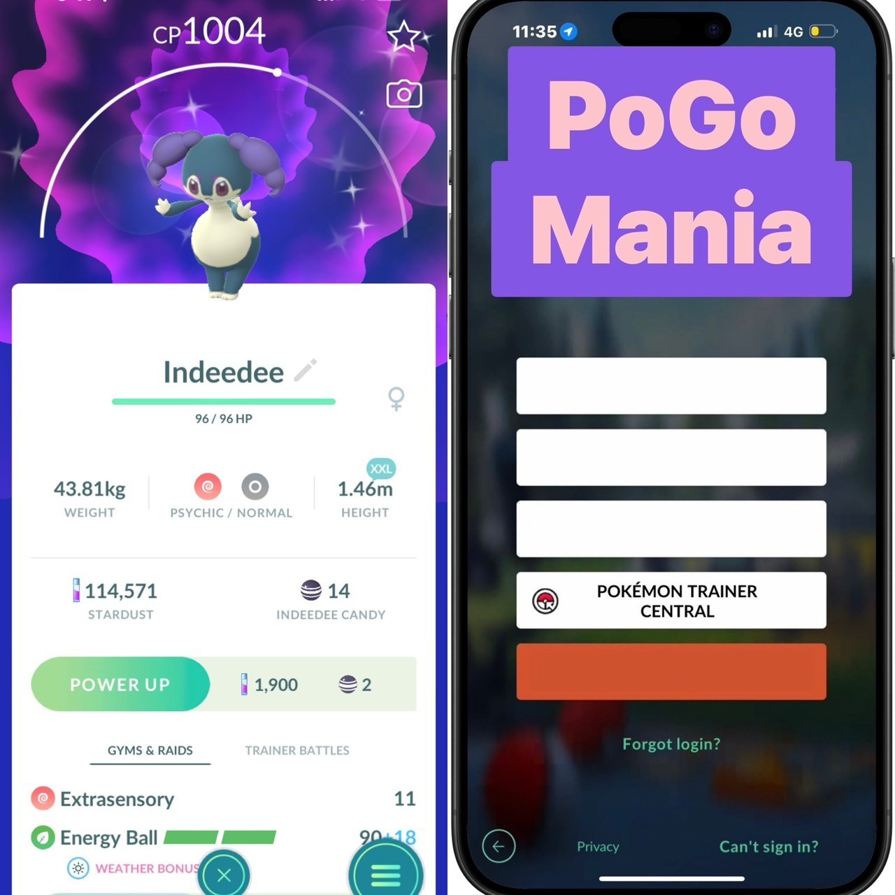 Shiny Indeedee (Female)✨XXL Size✨mini PTC 20k✨(read description)