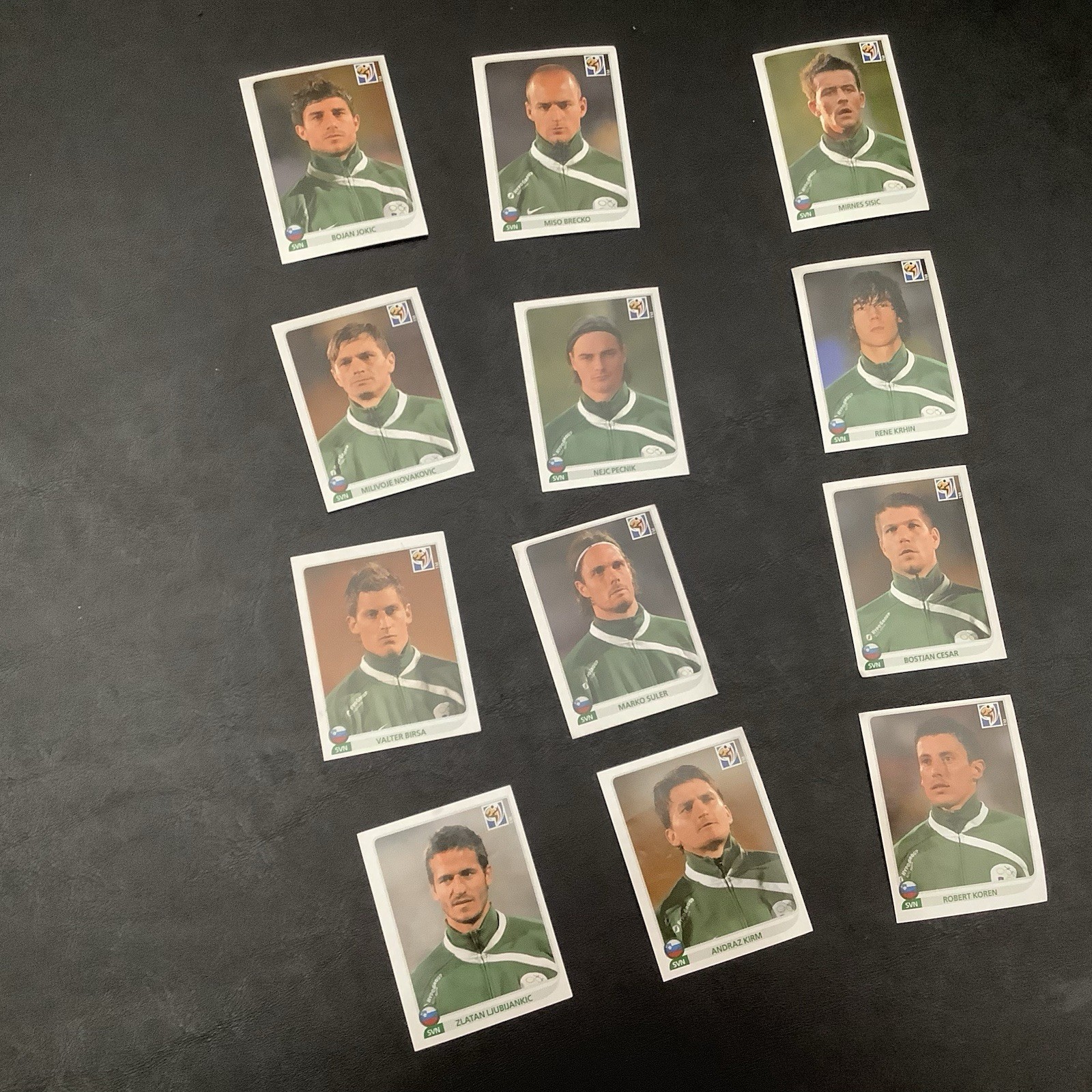 Slovenia National Team -  2010 FIFA World Cup -12 Panni stickers