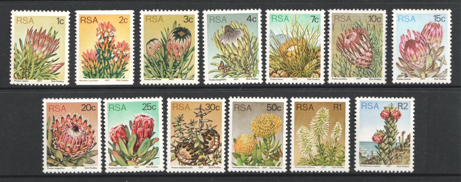South Africa Flowers 1977 MNH except **10c is used** Stamps. RSA