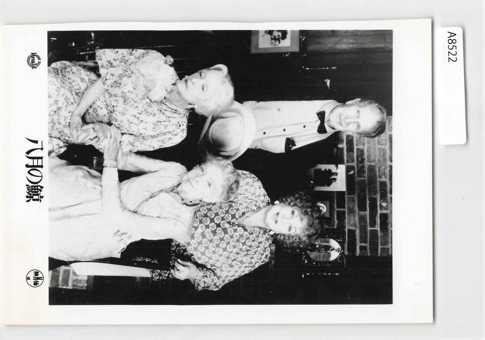 The Whales of August, Japan Vintage Movie Photo Card[A8522]8d7