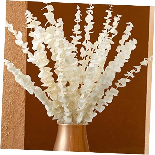 16 Pcs Bleached Preserved Eucalyptus Stems - 16'' Naturally Cream White 