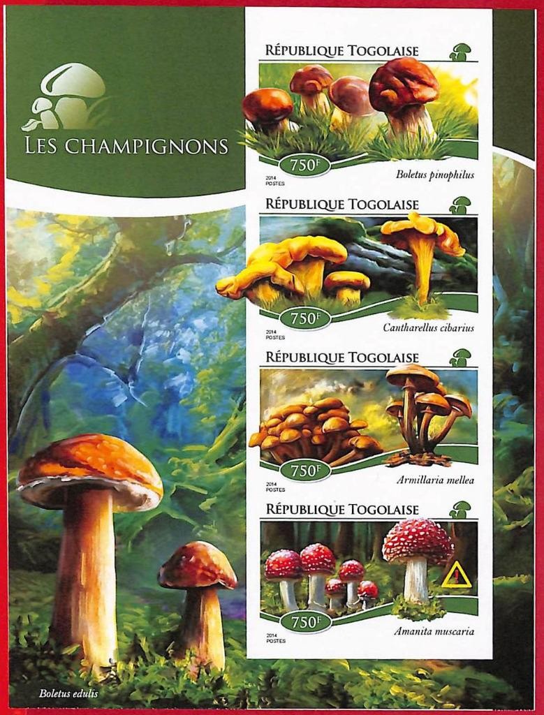 A3728 - TOGO  - ERROR IMPERF Stamp Sheet - 2014 - Mushrooms
