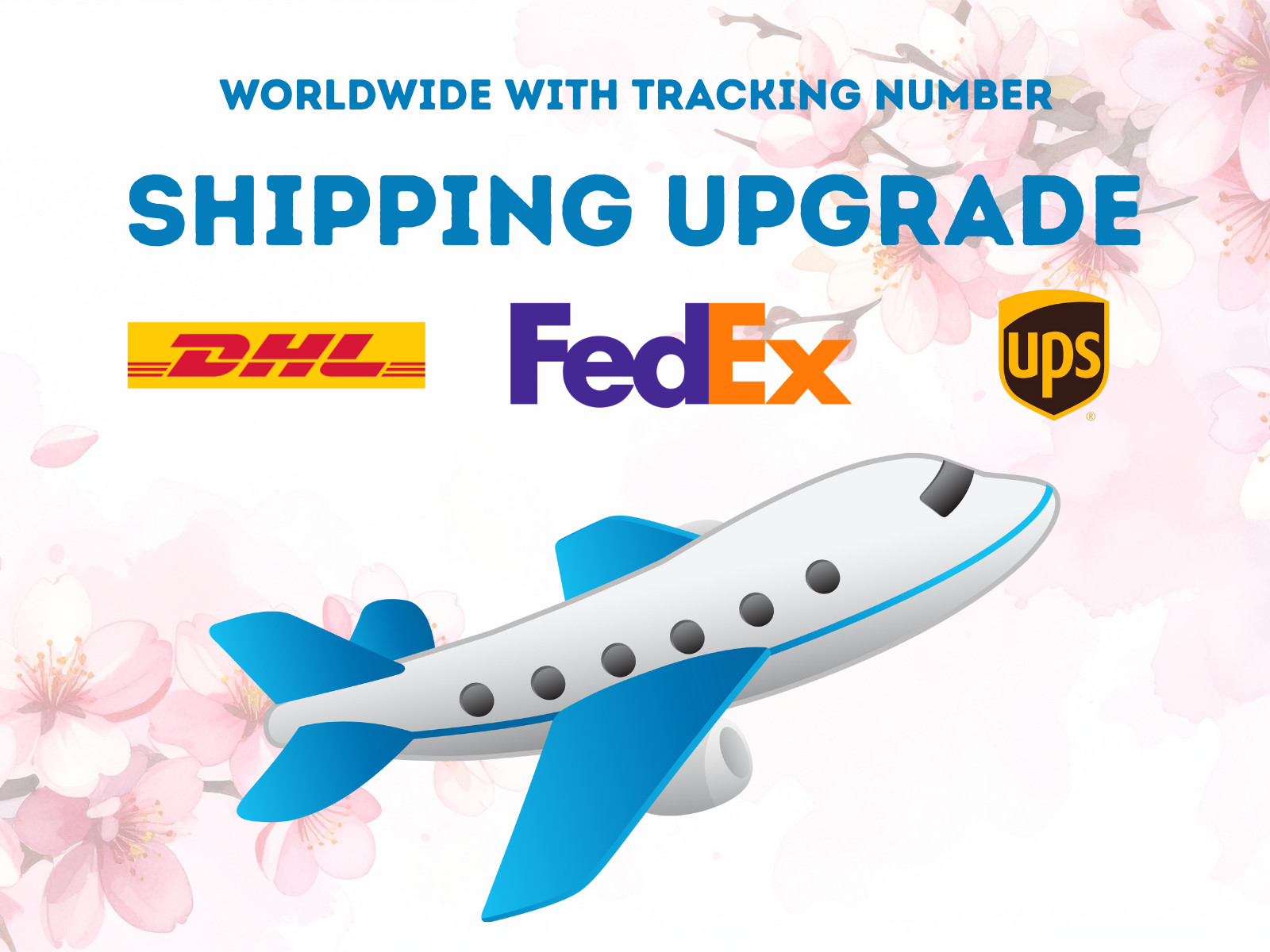 Shipping Upgrade via FedEx or DHL or UPS at Extra Cost - 19.8