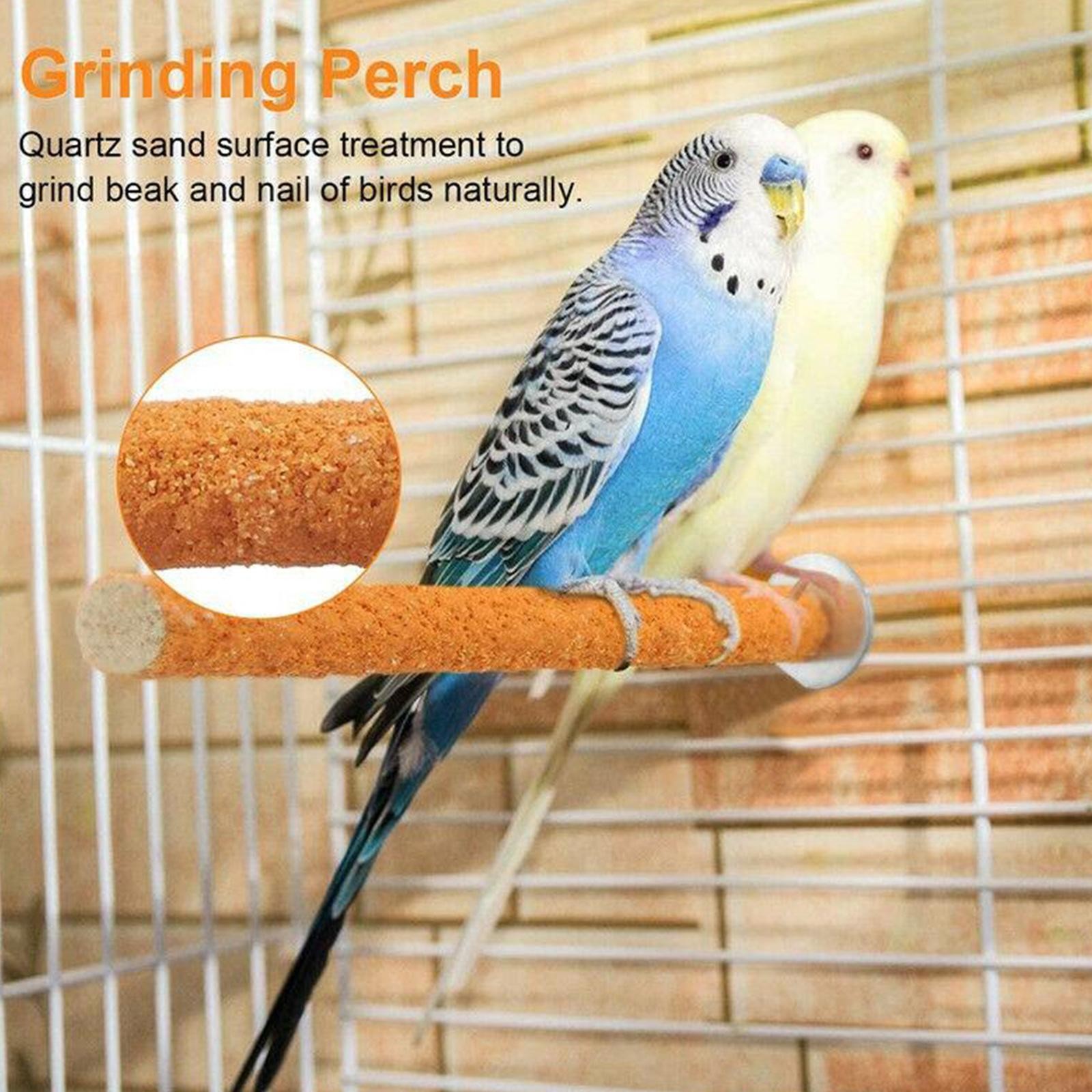 Parrot Paw Grinding Perch Stand Pet Bird Quartz Branch ToyN Shel Chewing f H4O7