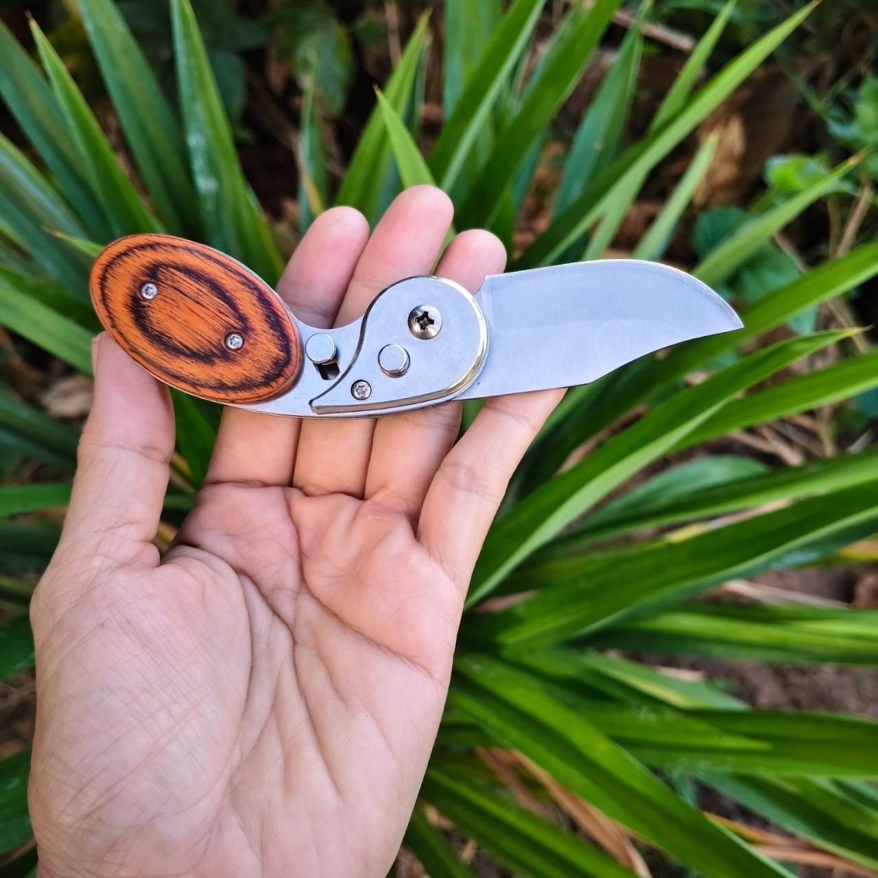 Compact Folding Pocket Knife Small Outdoor Knife EDC Tool Camping Hiking Travel