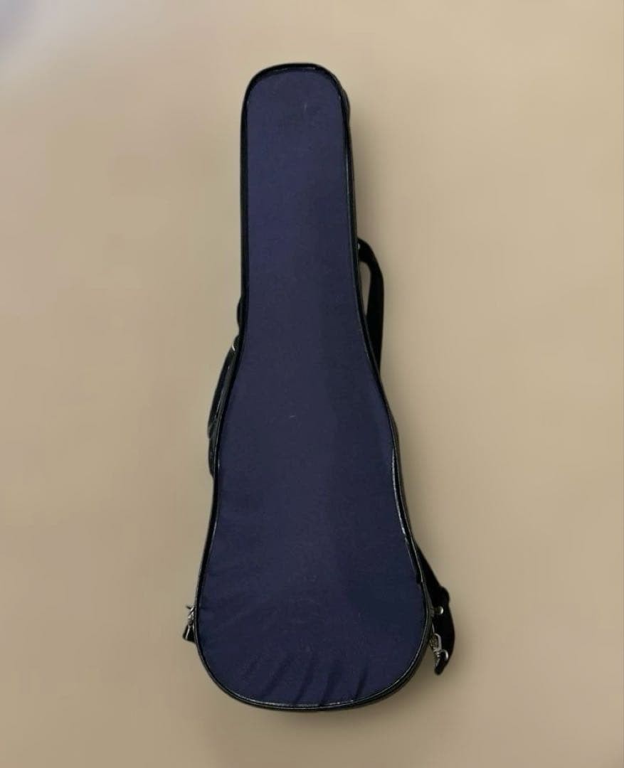 3/4 violin case navy blue