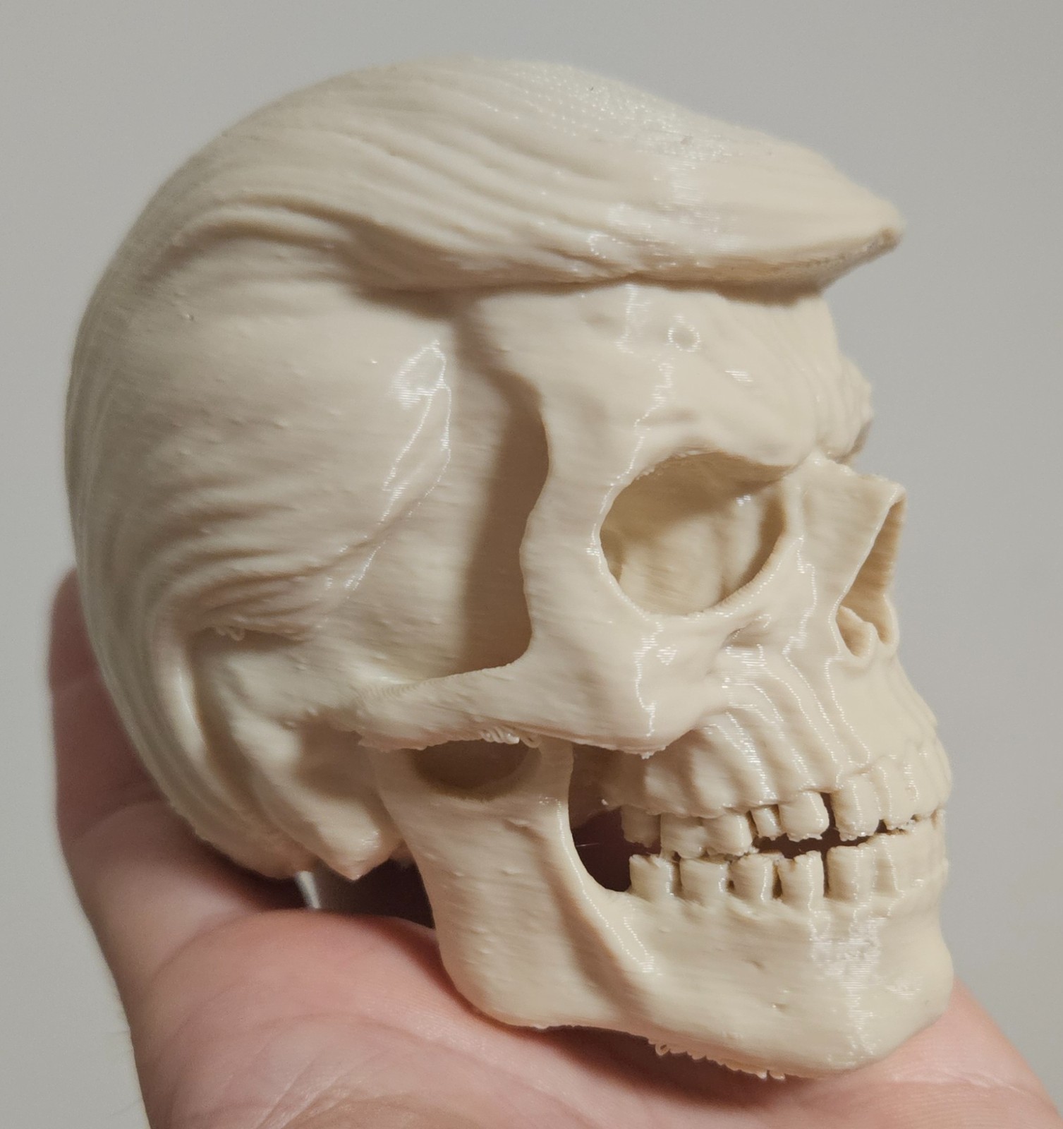 Small Skull with Hairstyle Bone Color Gothic Halloween Decor Unique Gift