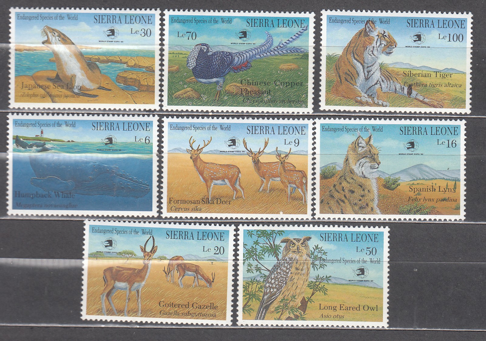 Sierra Leone - Mail Yvert 1029/36 ** MNH Fauna