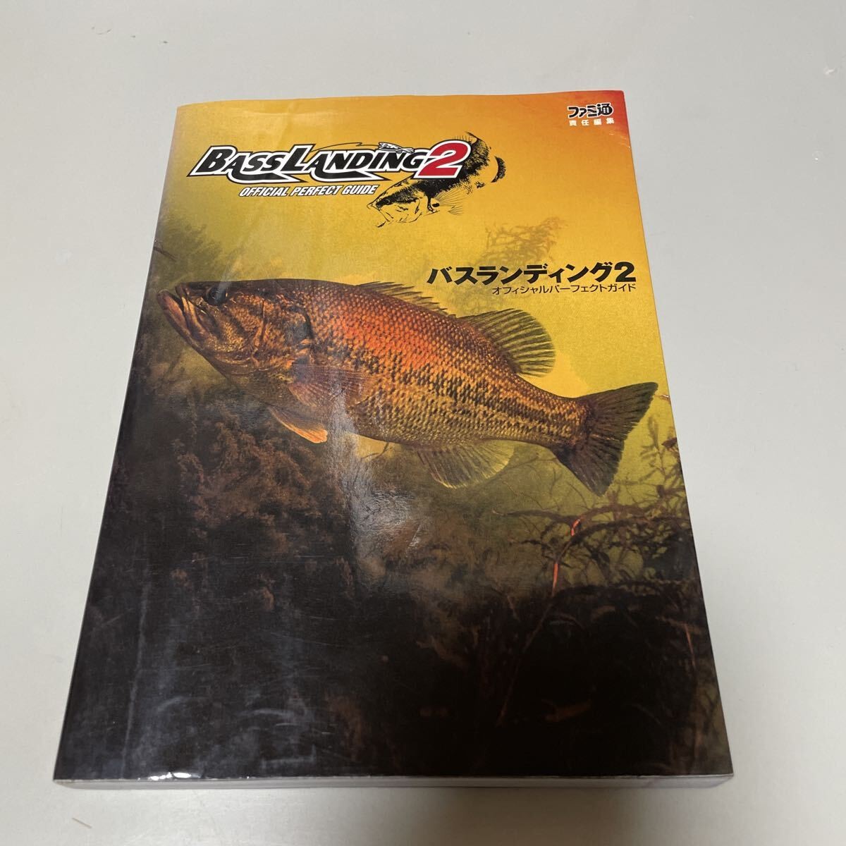 Bus Landing 2 Perfect Guide H1