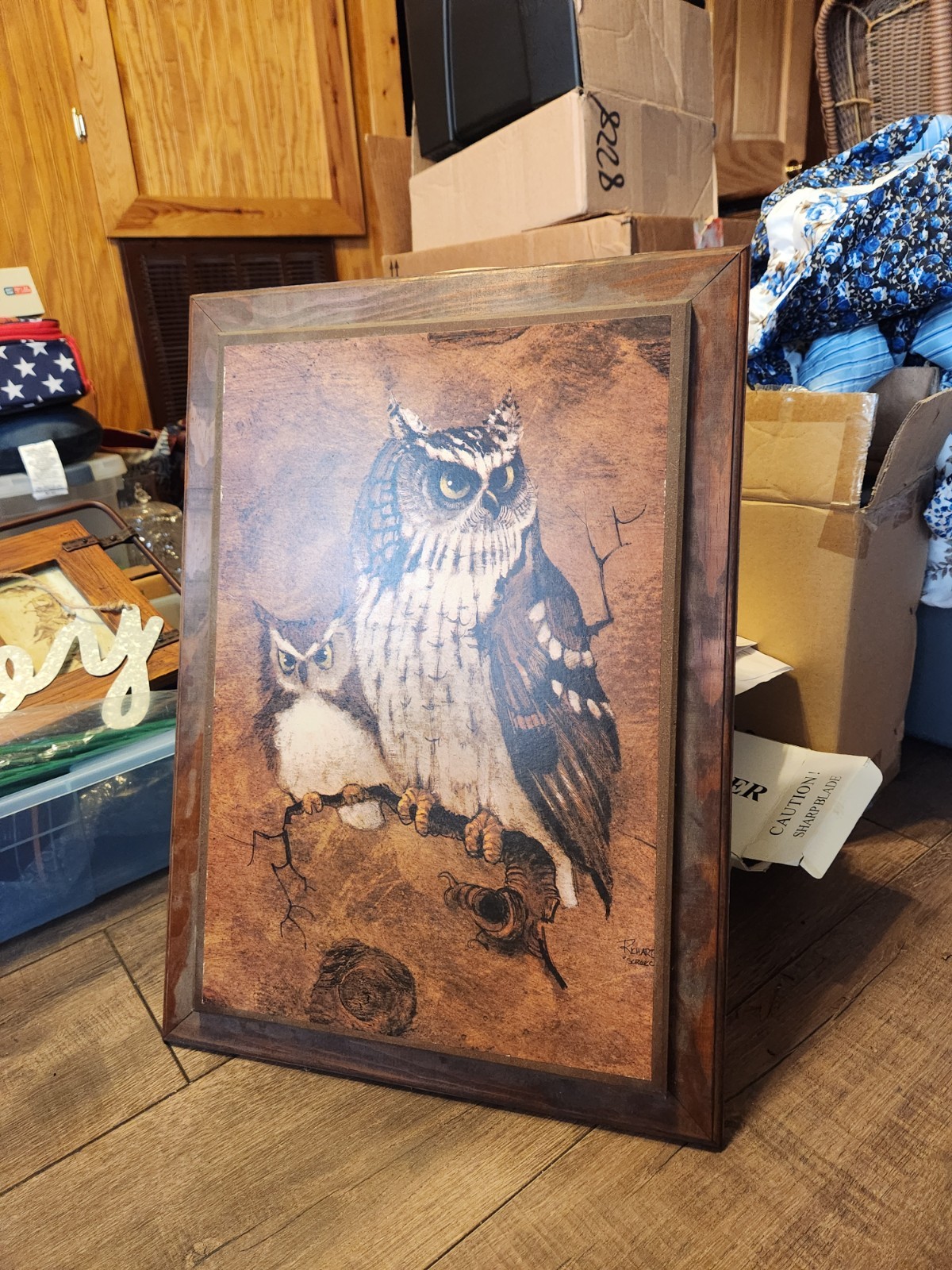 Rchart Framed Owl Print Portrait Art, Animals Nature Theme, Two Owls