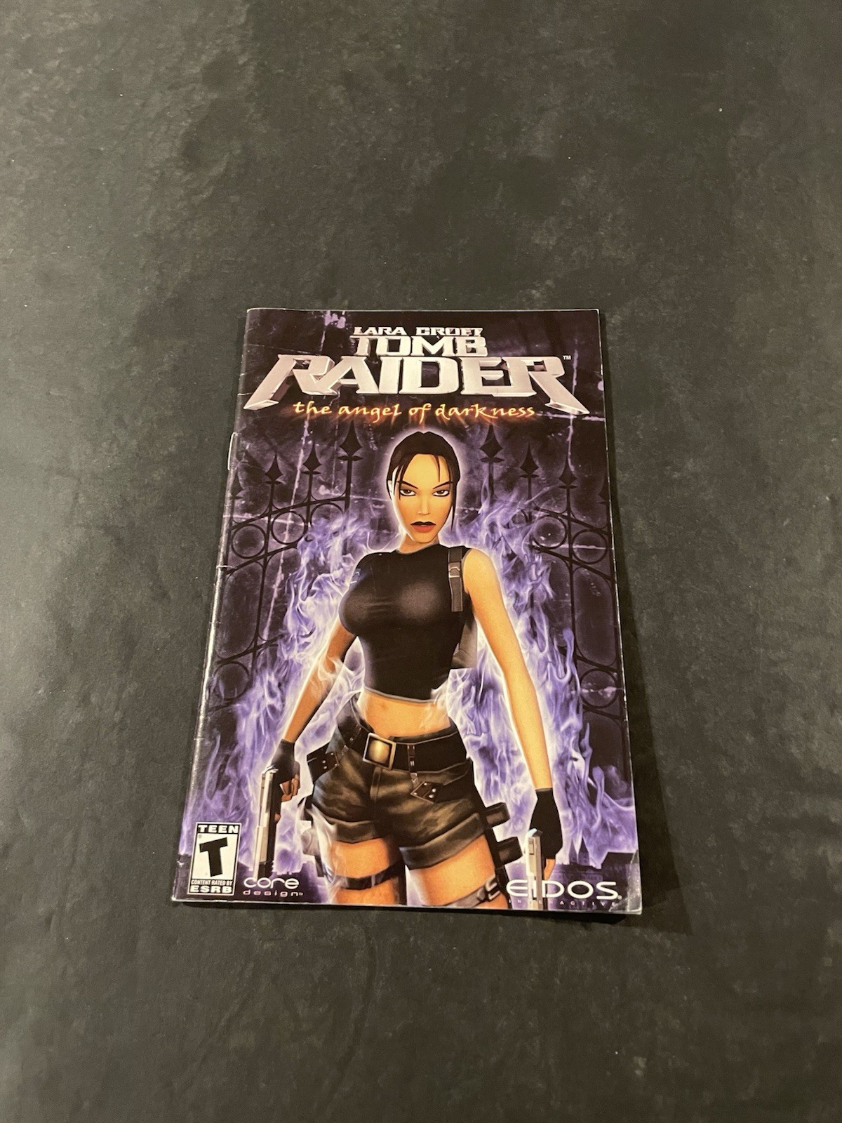 tomb raider angel of darkness ps2 manual Only