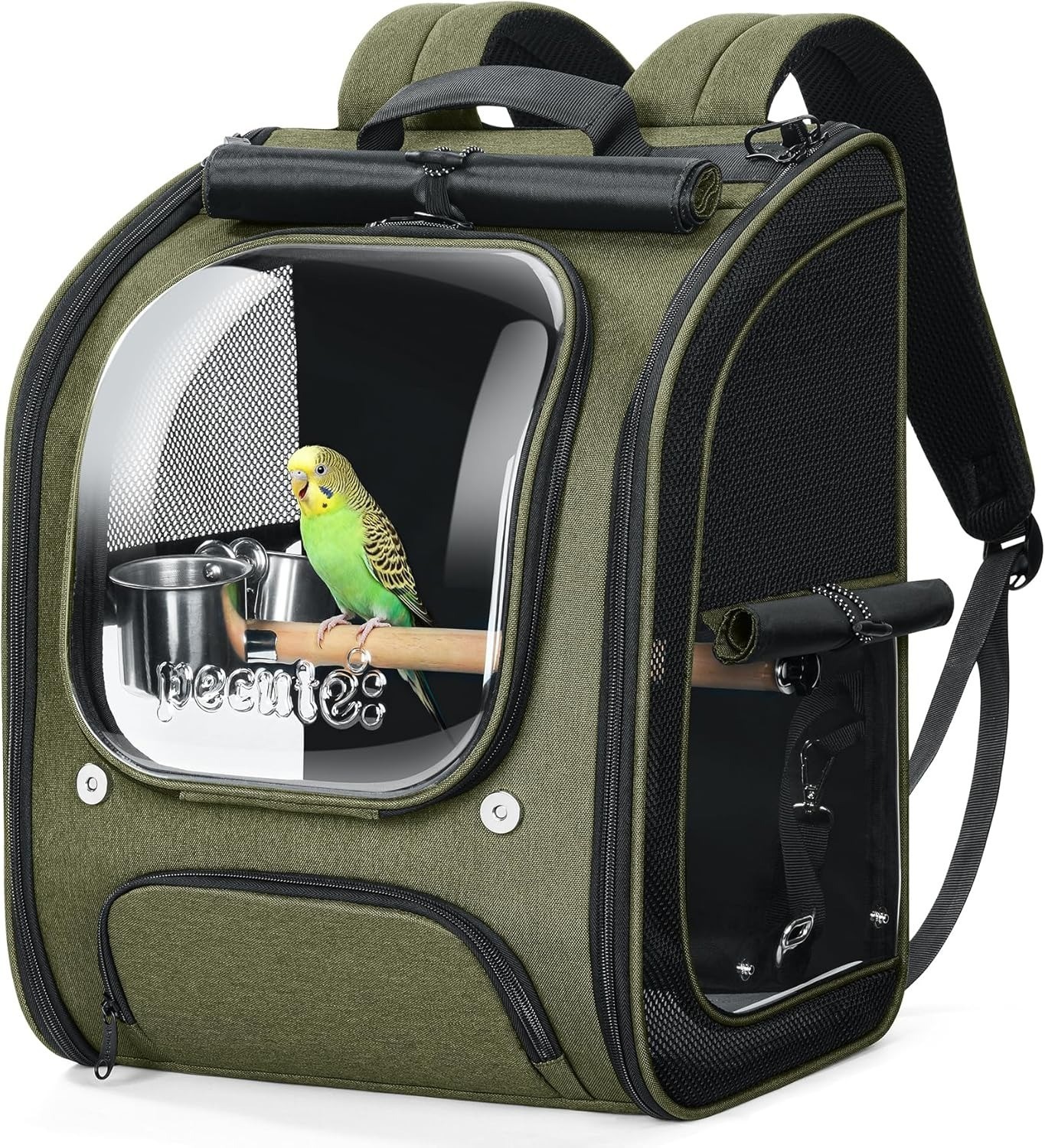 Breathable Bird Travel Backpack - Transparent Carrier with Perch & Mat (Green)