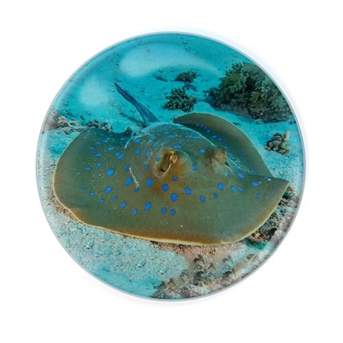 Magnidome - Magnet from Deluxbasee. Crystal Glass Fridge Magnet. Spotted Ray