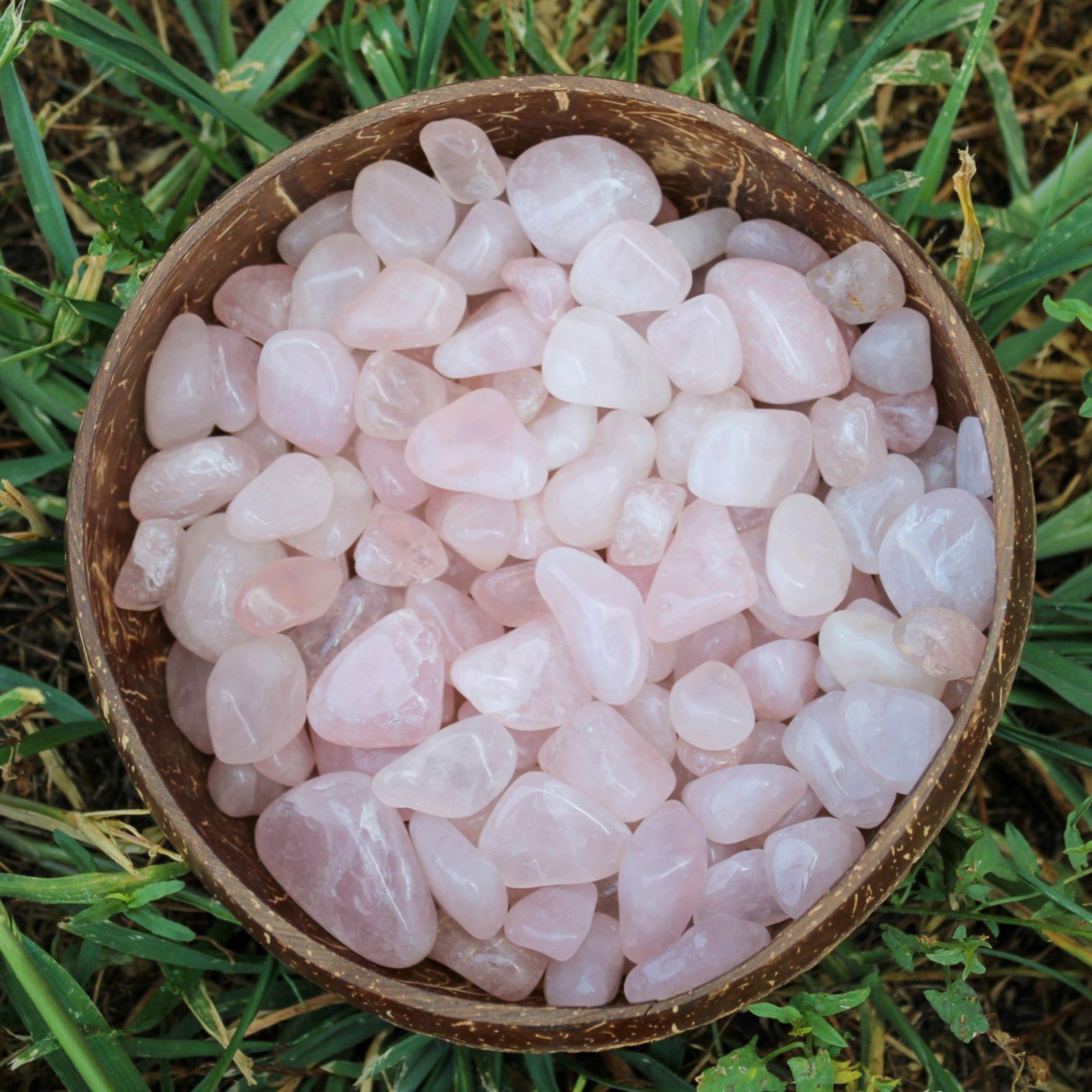 Rose Quartz Tumbled 1lb