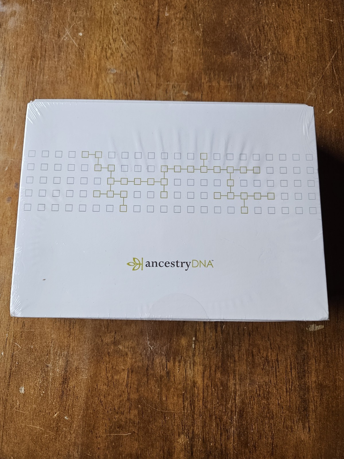 Ancestry DNA Test Kit Genetic Ethnicity Estimate Dated 2013 New In Sealed Box