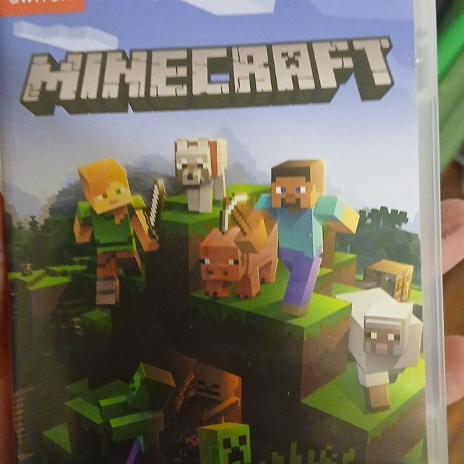 Nintendo Switch Minecraft Cartridge Case for Nintendo Switch Original Game Model