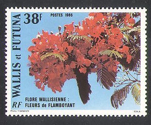 Wallis & Futuna 1986 Flowers/Plants/Trees/Nature 1v (n37905)