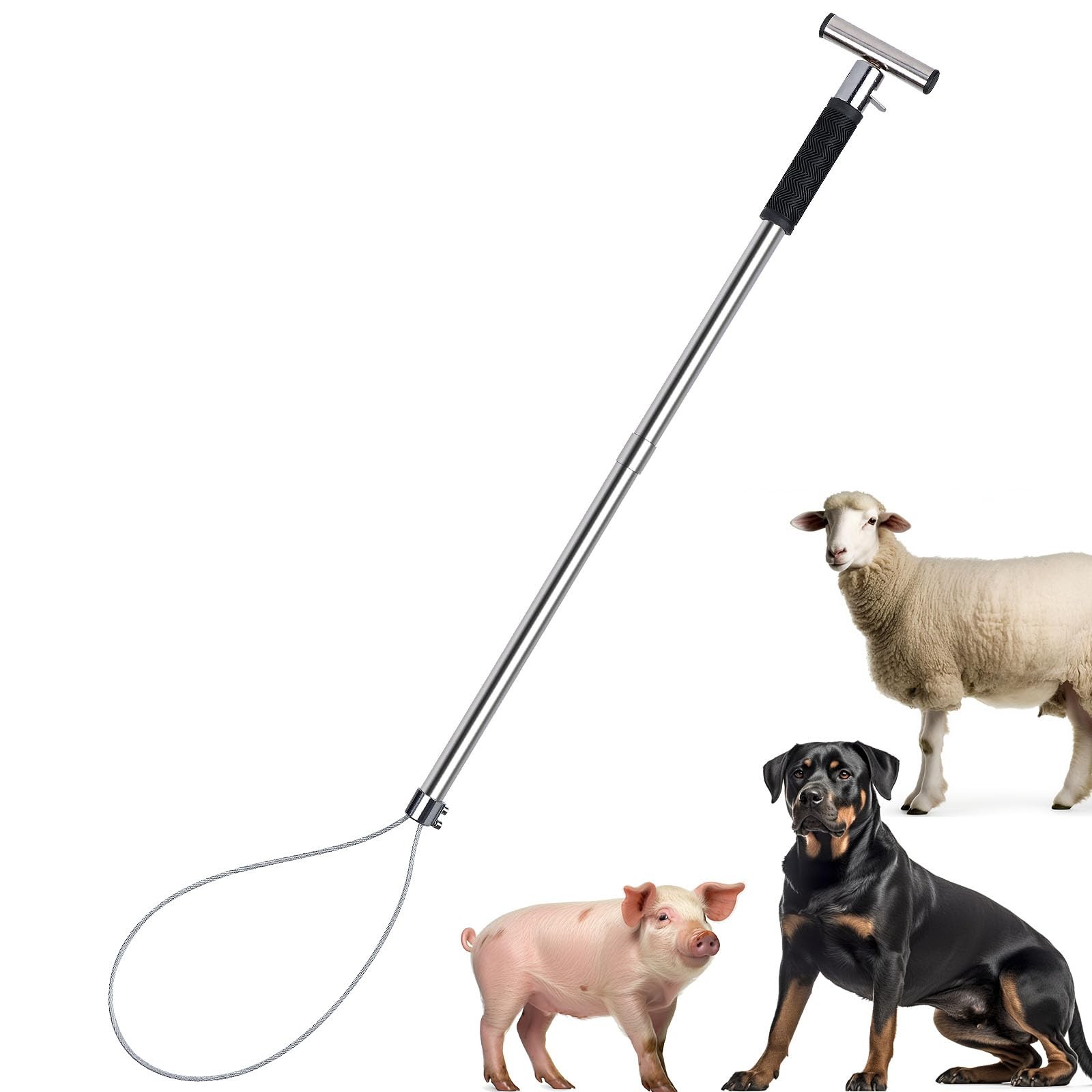 ZHEQOGZH Dog Catcher Pole Animal Control Stainless Steel Pig Holder... 