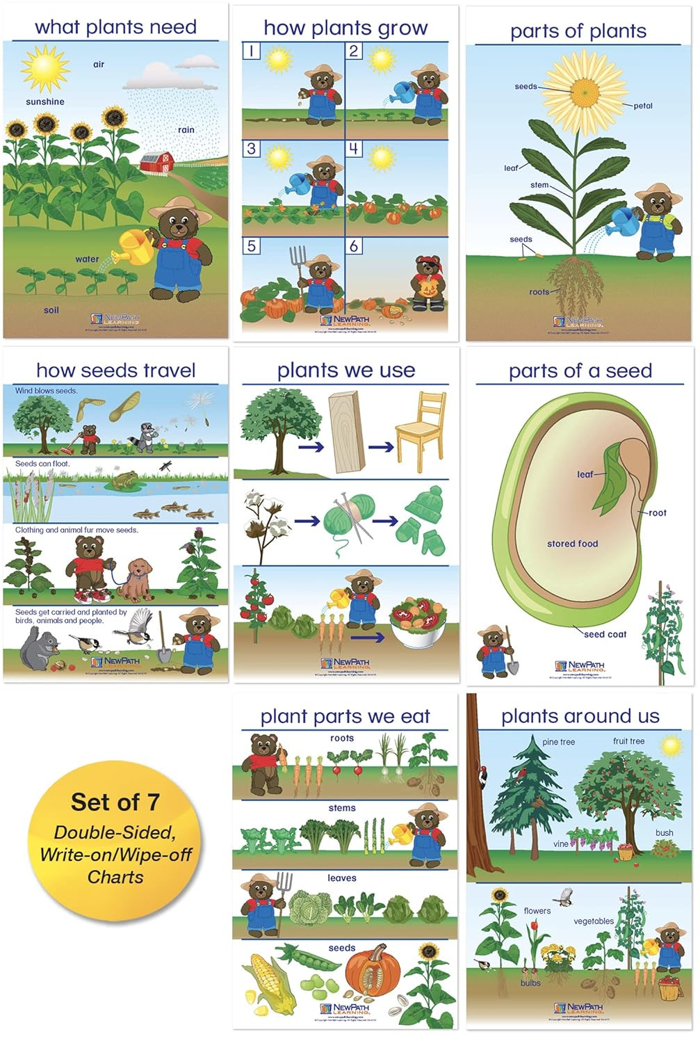 Newpath All about Plants Bulletin Board Charts - English Version, Set/8 - Lamina
