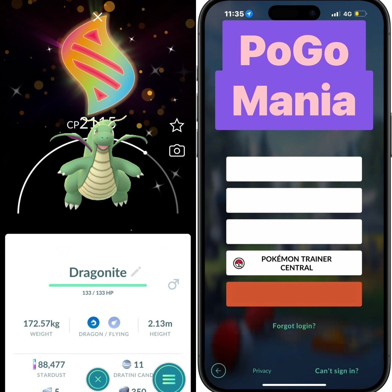 Shiny Dragonite✨Mega Evolution Special Background✨mini PTC 20k✨