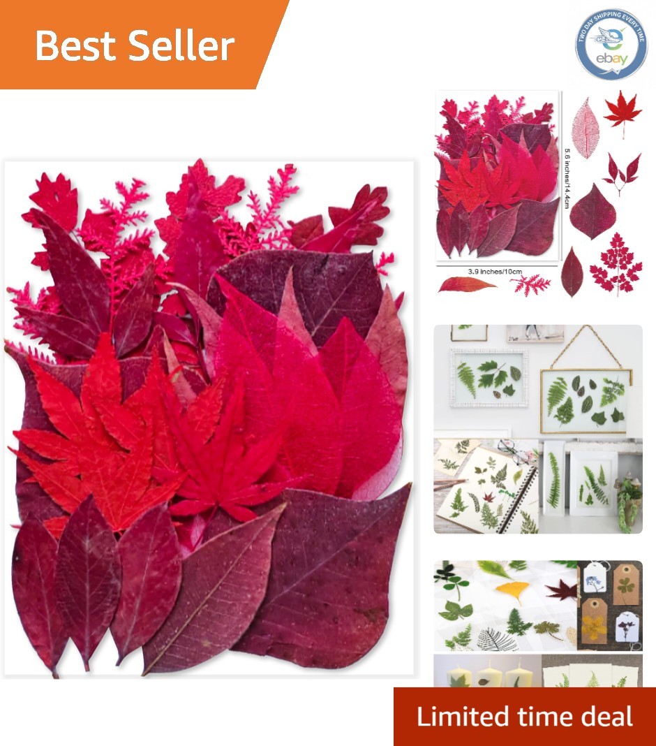 Creative 30PCS Red Dried Leaves - Ideal for Jewelry, Crafts & Scrapbooking