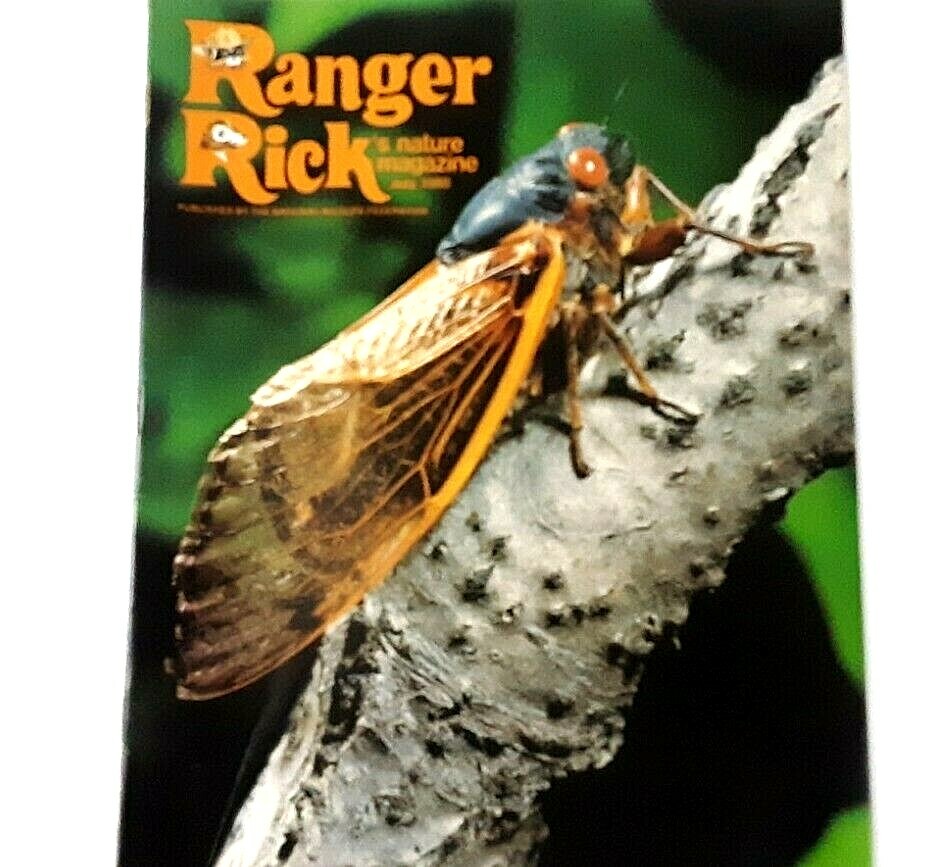 RANGER RICK'S NATURE MAGAZINE July 1980 National Wildlife Federation V14 N07