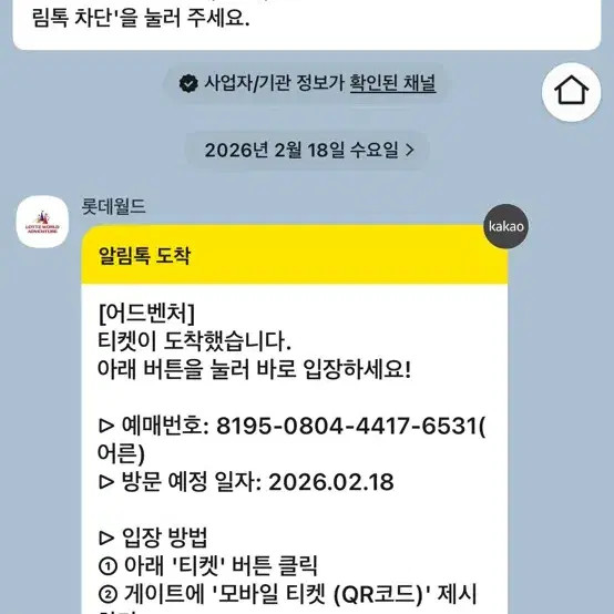 Lotte World Adventure Ticket, Valid for Use