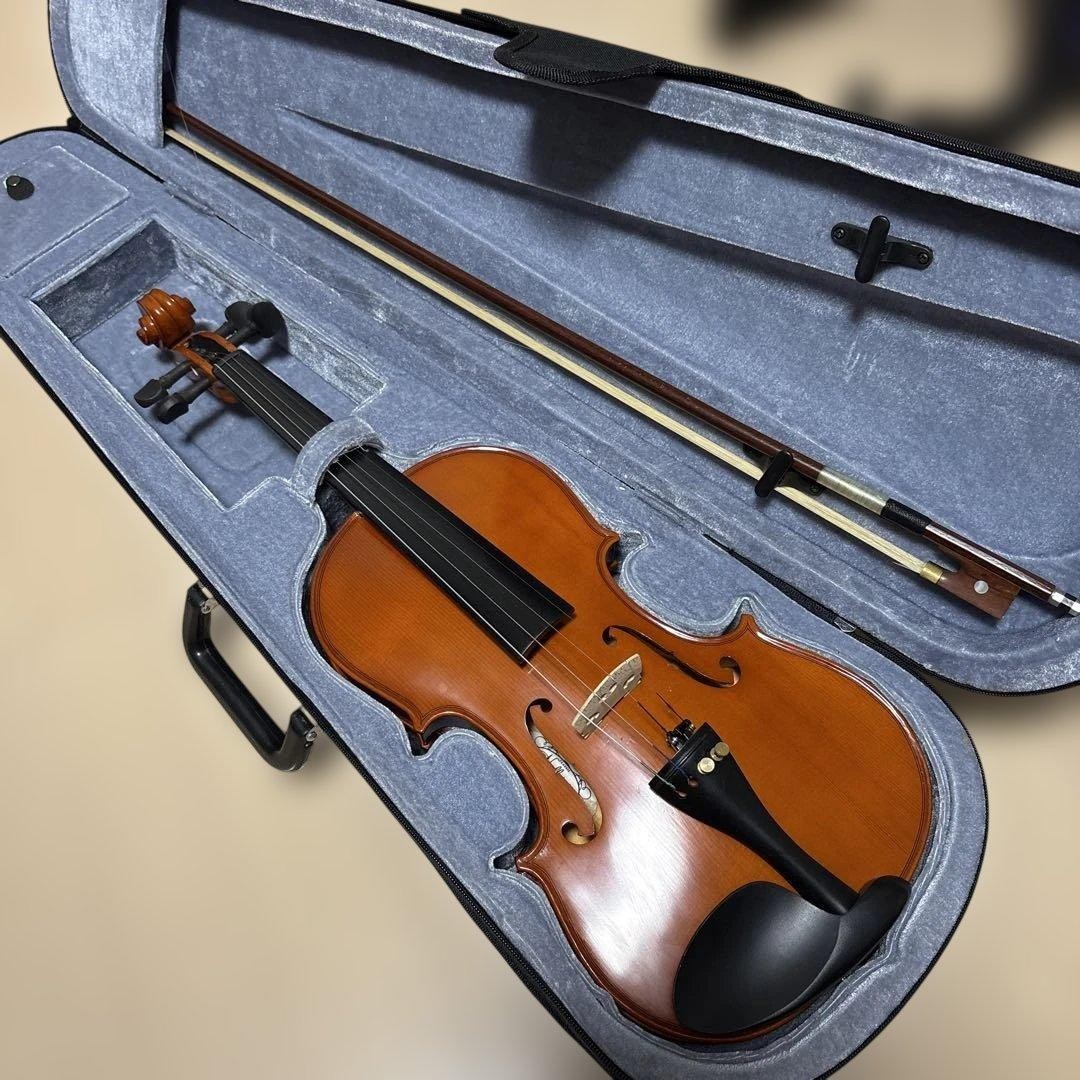 Hallstatt Violin Violin 4/4 V-10