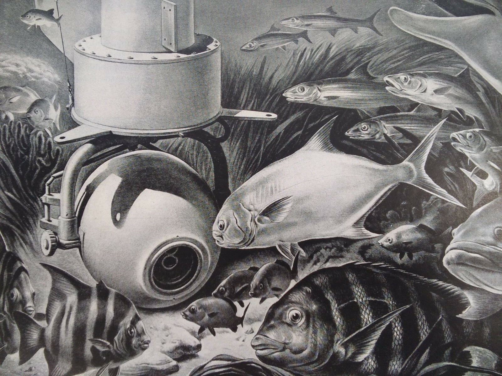 RCA Radio TV Print Ad Original Vtg 1950s Underwater Reef Fish Susan Hayward Cry 