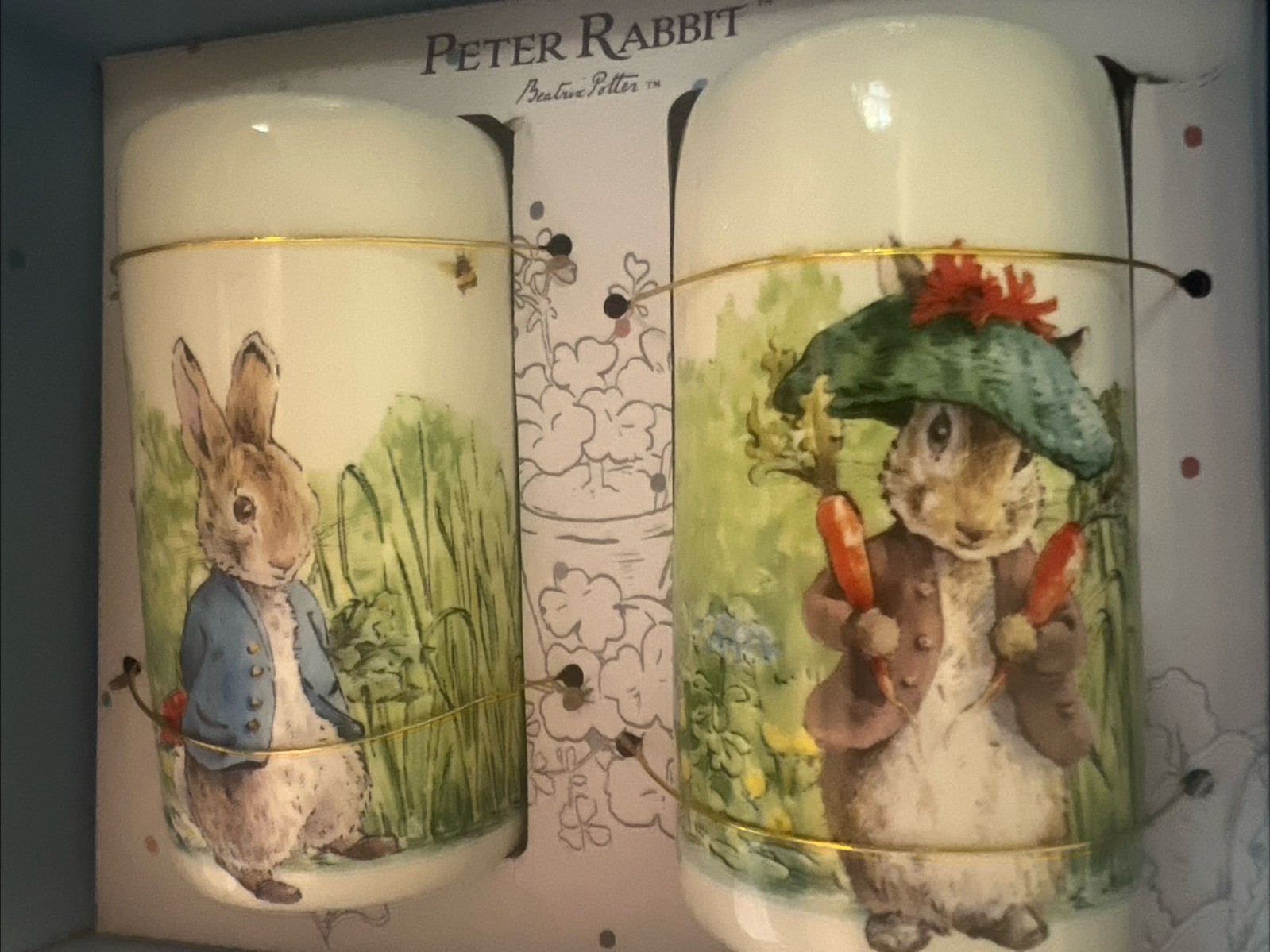 NIB Beatrix Potter PETER RABBIT Spring/Easter Ceramic Salt & Pepper Shaker Set