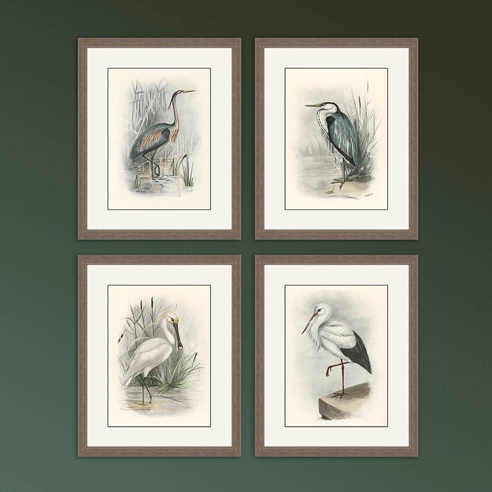 Birds 22" High 4-Piece Framed Giclee Wall Art Set