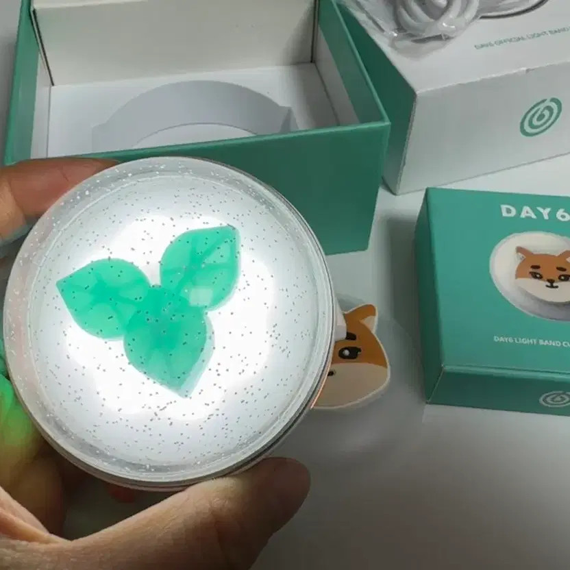 DAYS6 Fan Lamp Made Watch + Custom Case, Pre-Owned