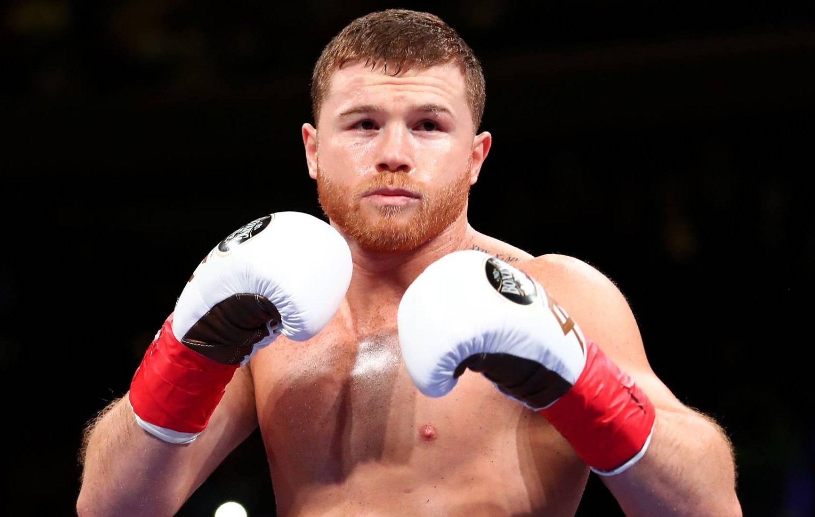 CANELO  ALVAREZ  -  8 1/2  X  11  GLOSSY  PHOTO  REPRINT