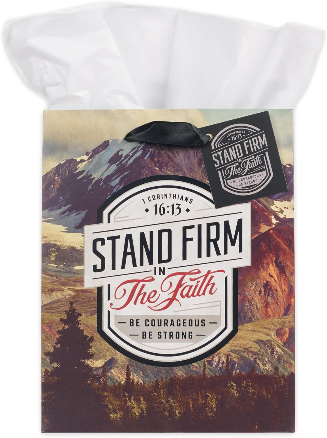 Medium Portrait Inspirational Scripture Gift Bag, Tag & Wrapping Tissue Paper Se