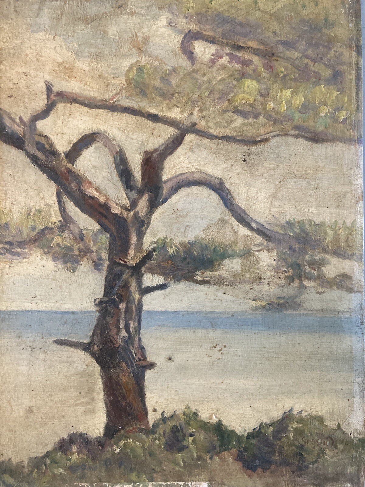 Belle peinture huile panneau bois 1920 paysage Arbre ancien Signé à Identifier
