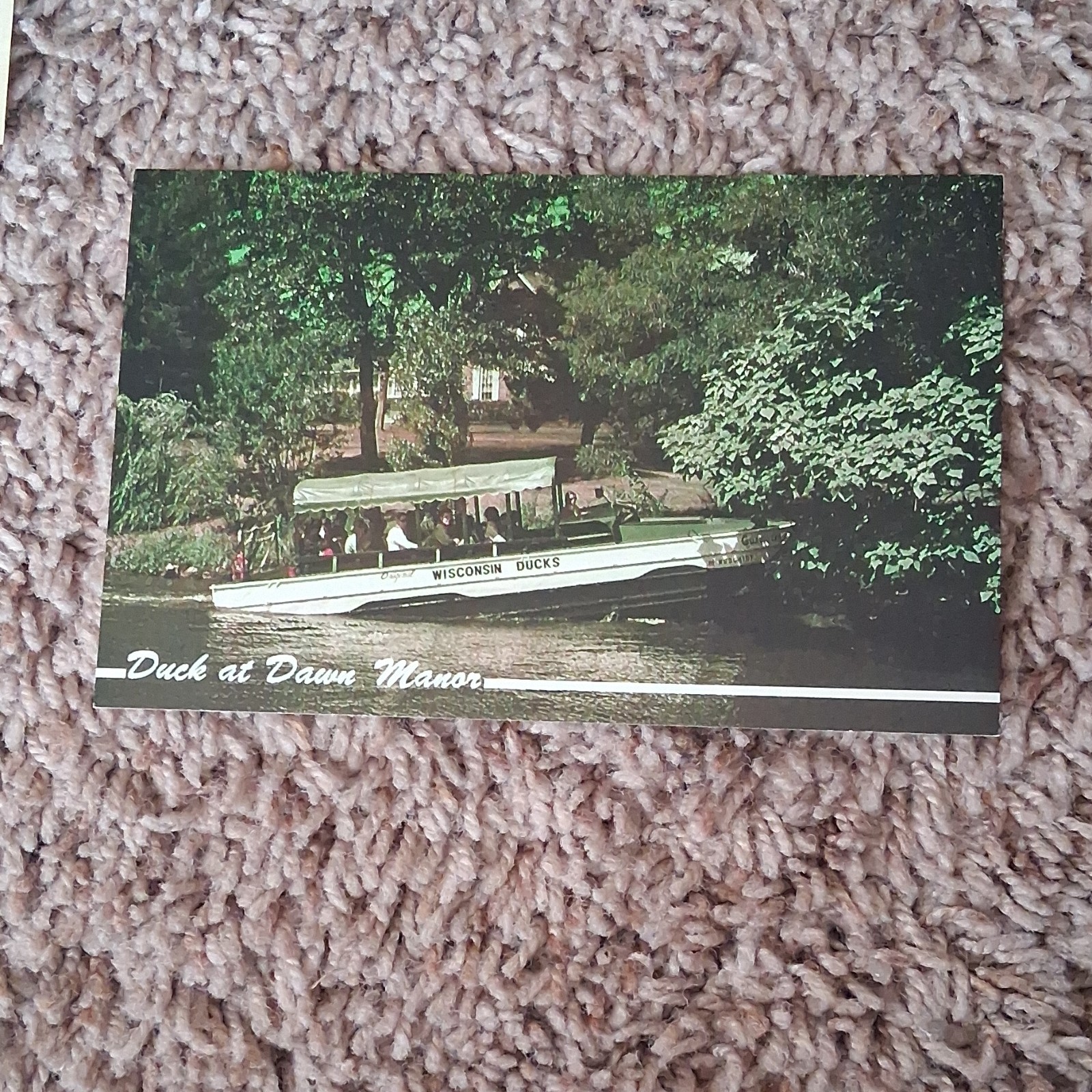 Thallo Photography Duck at Dawn Manor Wisconsin Dells Ducks Postcard