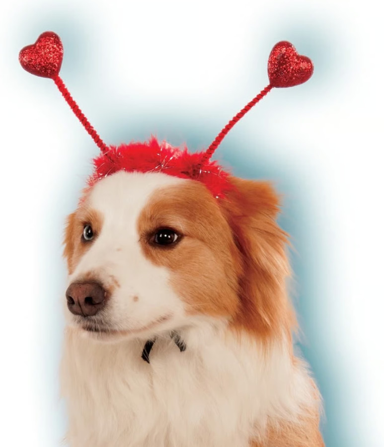 Rubie's Valentine's Day Bopper Dog Costume, Red Heart Bopper, Small / Medium
