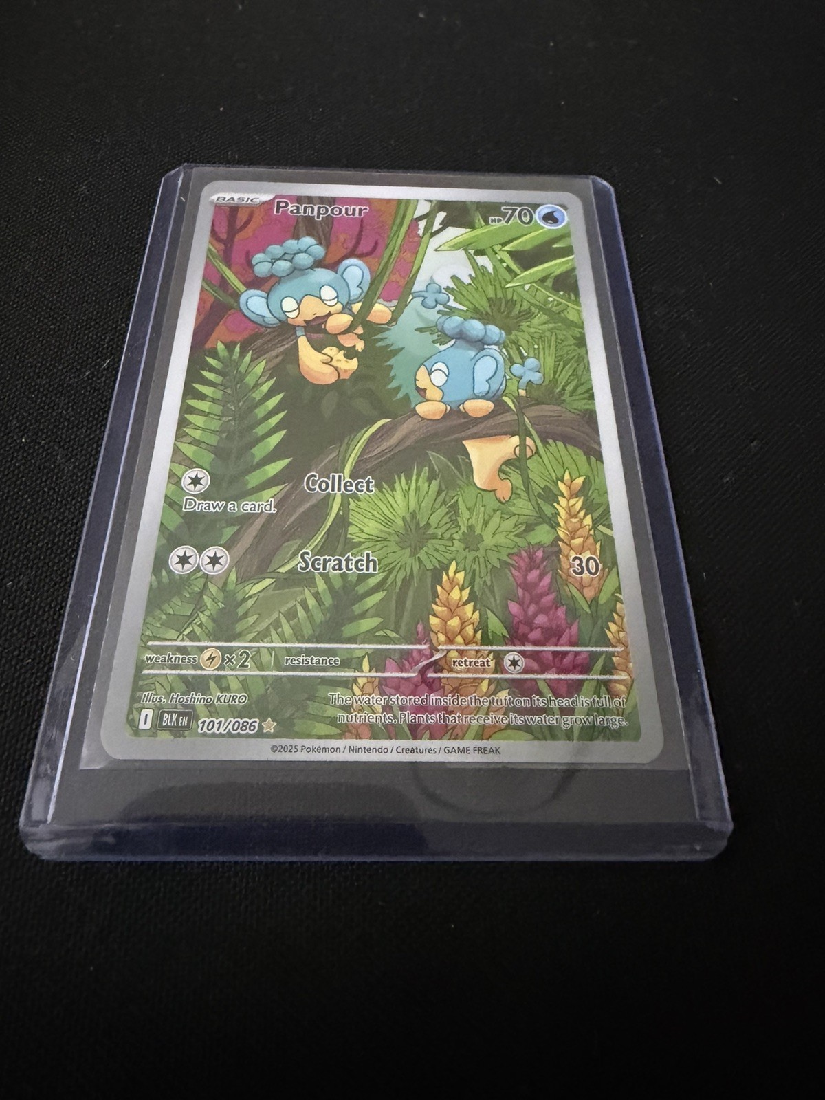 Panpour 101/086 Black Bolt Illustration Rare Near Mint Condition