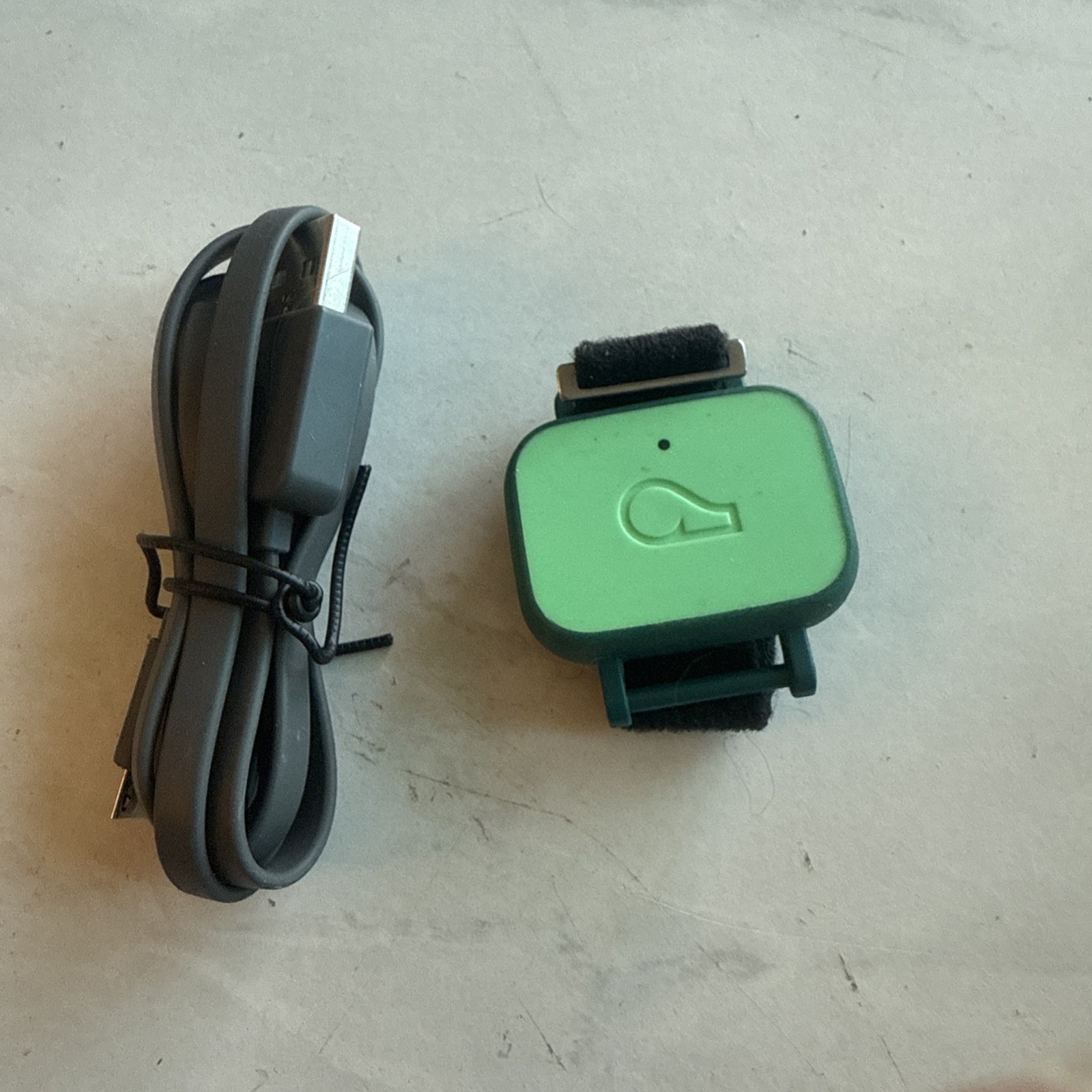Whistle Go Explore Waterproof GPS Pet Location Tracker-Green (Untested)