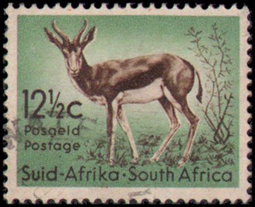 South Africa #250 Used