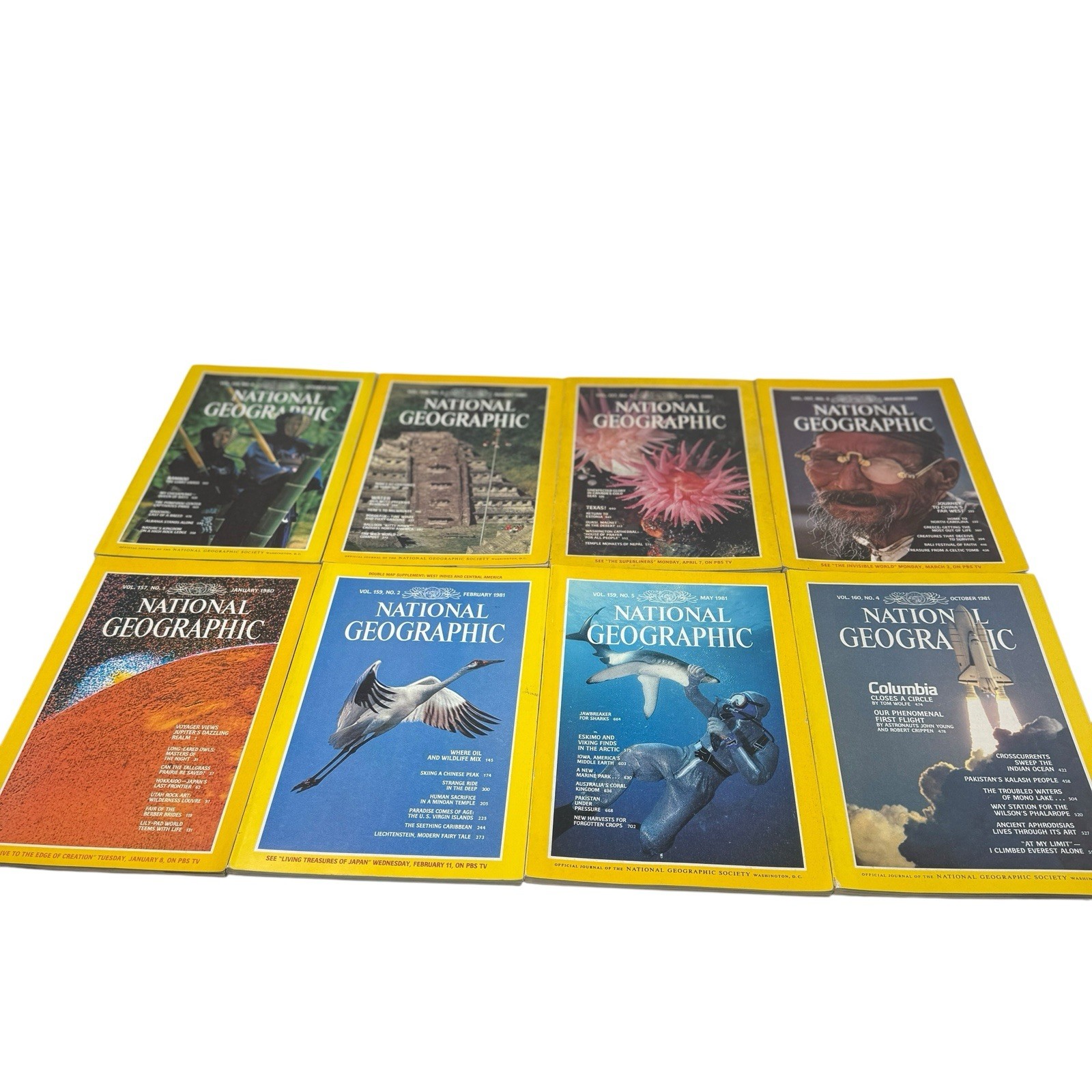 Vintage National Geographic Magazines Lot November 1979 - Oct 1981 -14 Issues