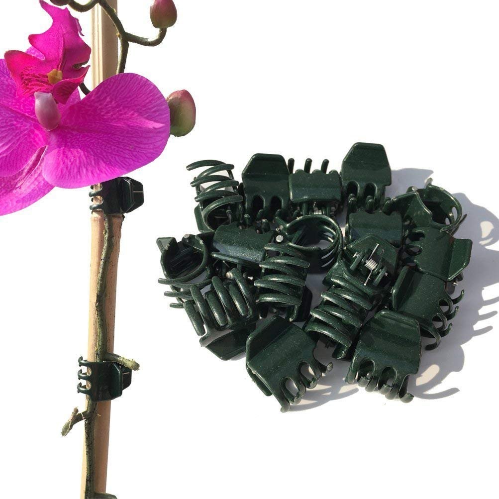 Vtete 50 PCS Large Size Orchid Clips and Garden (50 Pcs), Green 