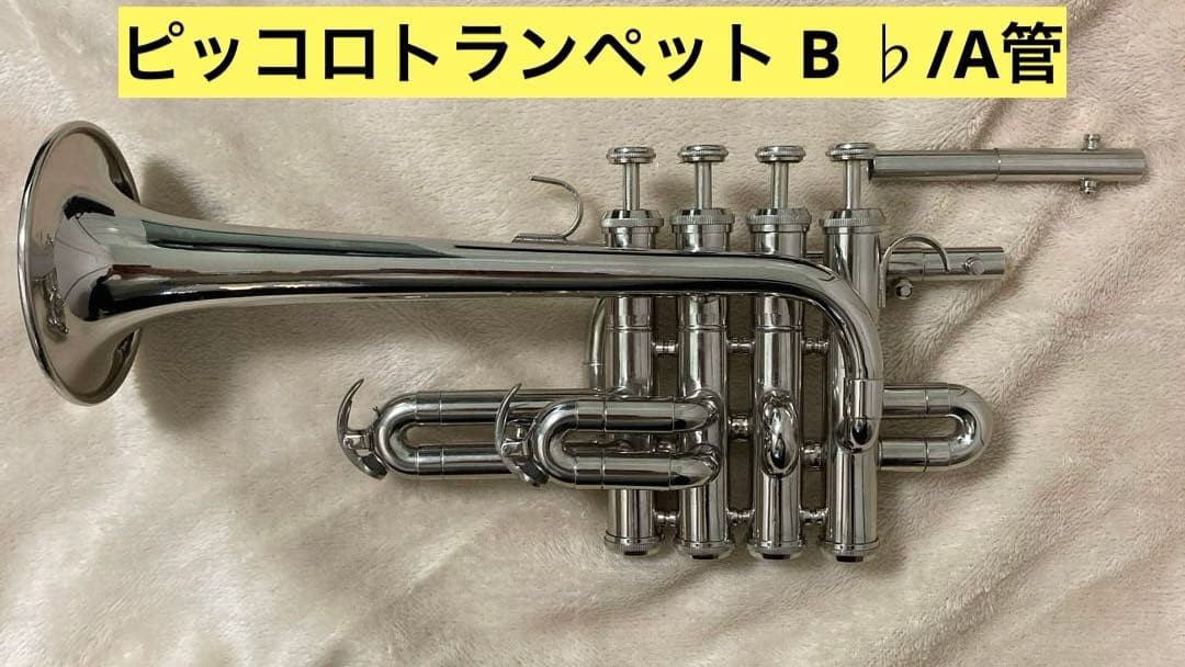 Piccolo trumpet B/A pipe no brand