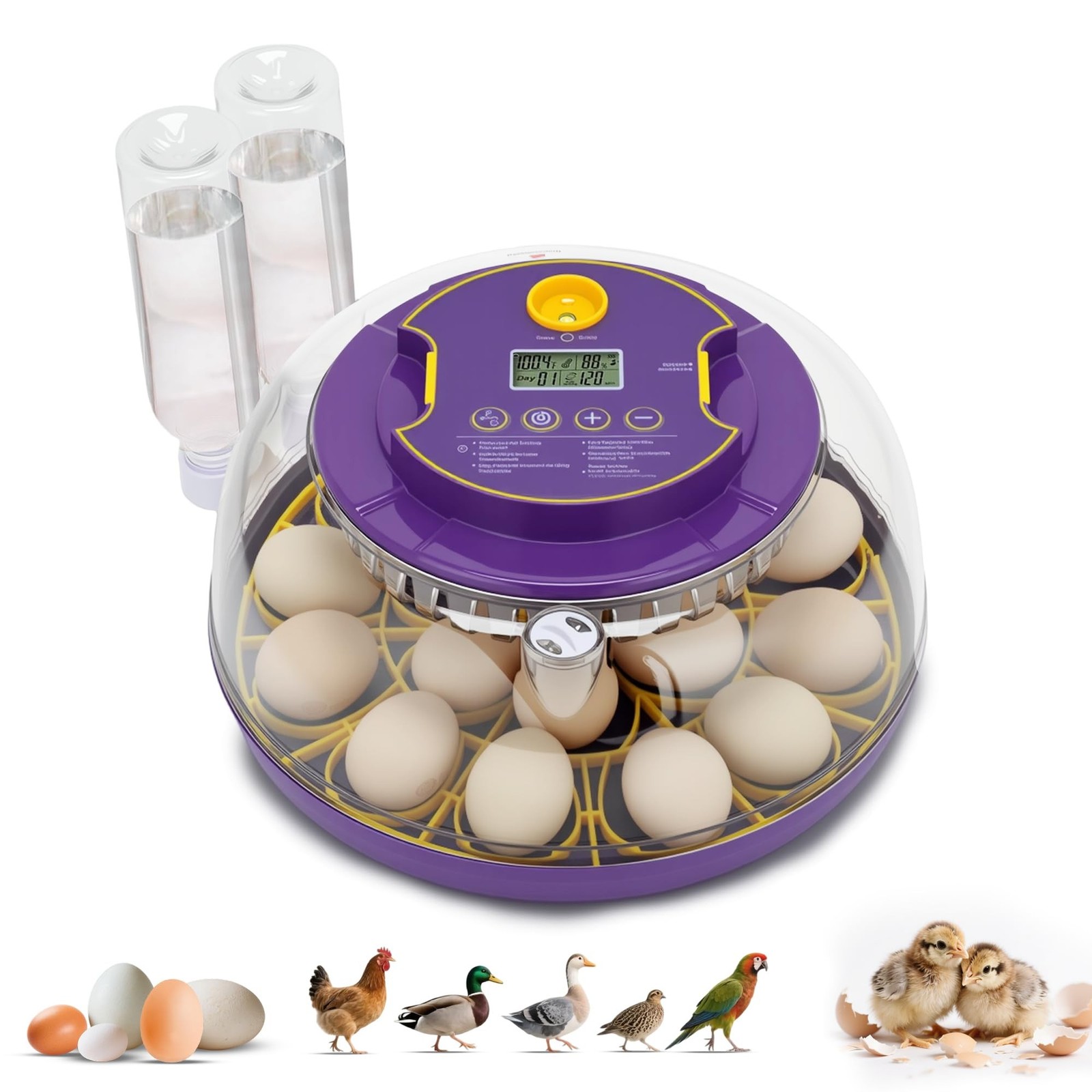 18 Egg Incubator for Hatching Eggs – With Automatic Egg Turning, Temp/Humi
