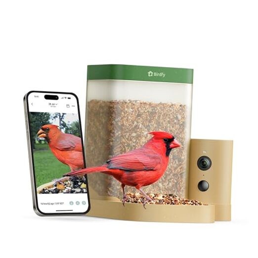  Smart Bird Feeder with Camera for Rookie, Camera Bird AI by Subscription