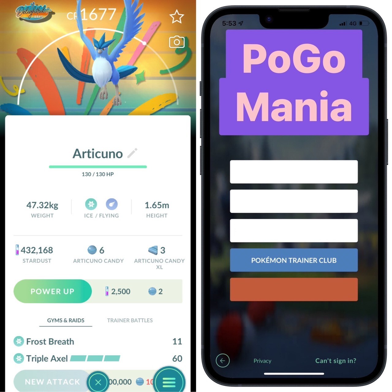 Articuno (NON shiny)💥Delightful Days Special Background💥mini PTC 80k💥