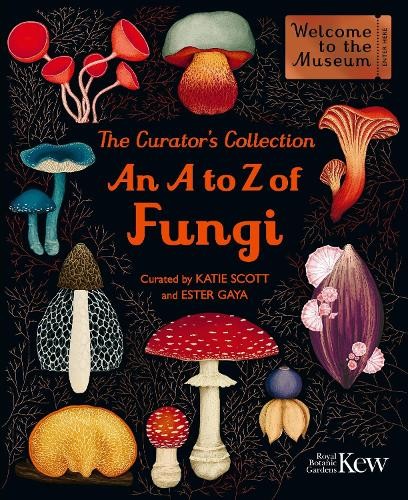 Ester Gaya The Curator's Collection: (Hardback) (UK IMPORT) (PRESALE 06/04/2026)