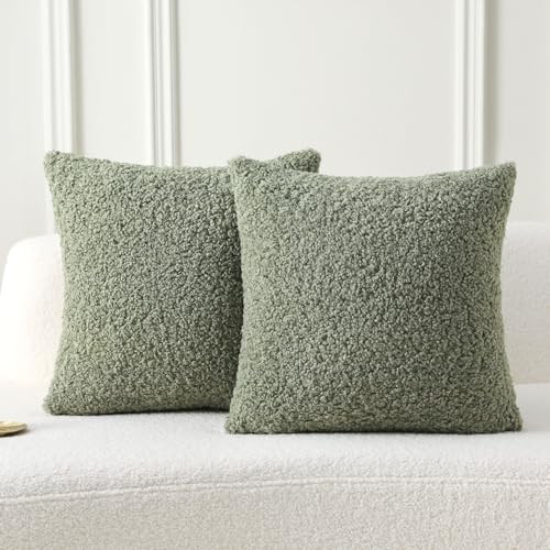  Sage Green Throw Pillow Covers 18x18 18" x 18" (Pack of 2) Teddy-sage Green