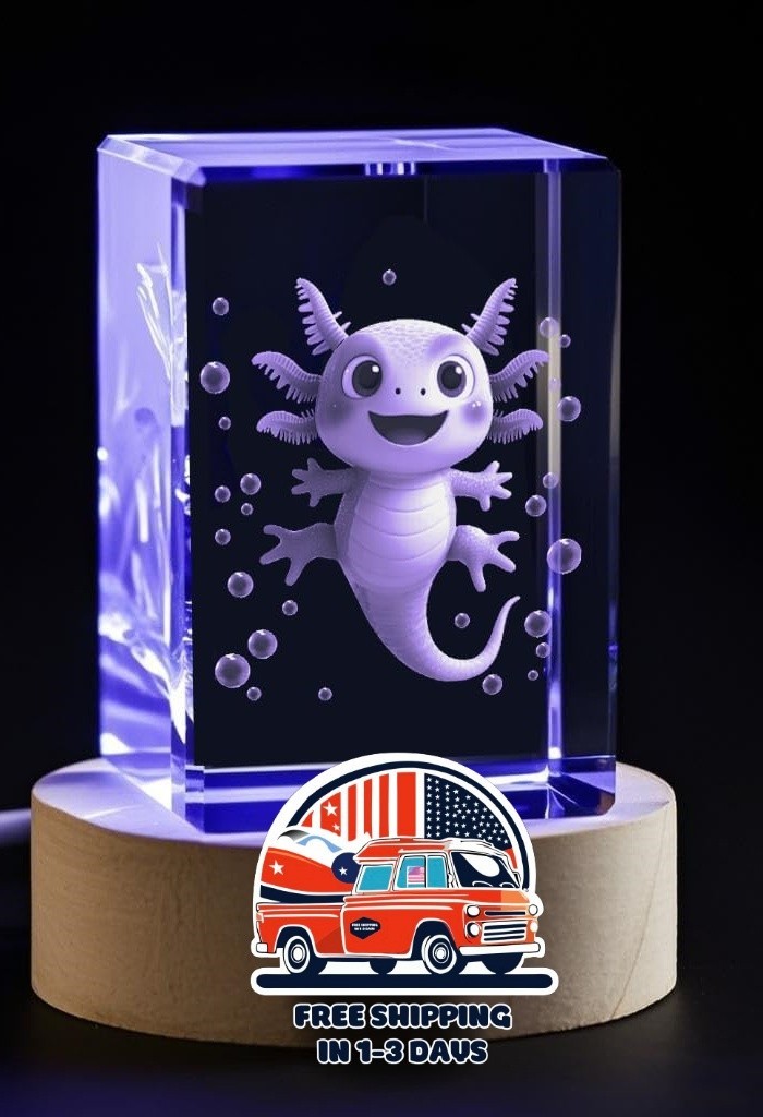 Luz de noche, regalo de apoyo emocional para San Valentín y aniversario. US NEW