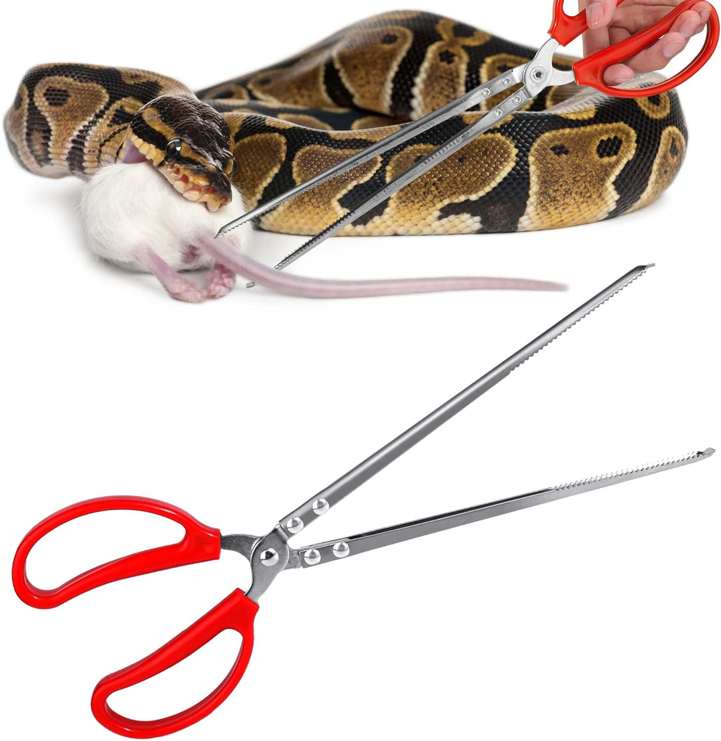Snake Feeding Tongs,15 Inch Reptile Feeding Tongs,Extra Long Large Tweezers for 